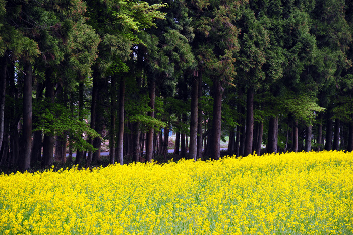 @的日常【岩手県花巻市石鳥谷】