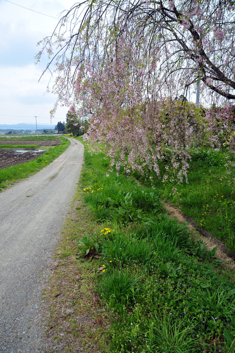 @的日常【岩手県花巻市石鳥谷】