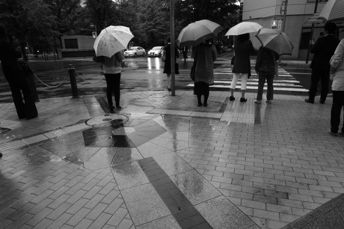 明日が最終日