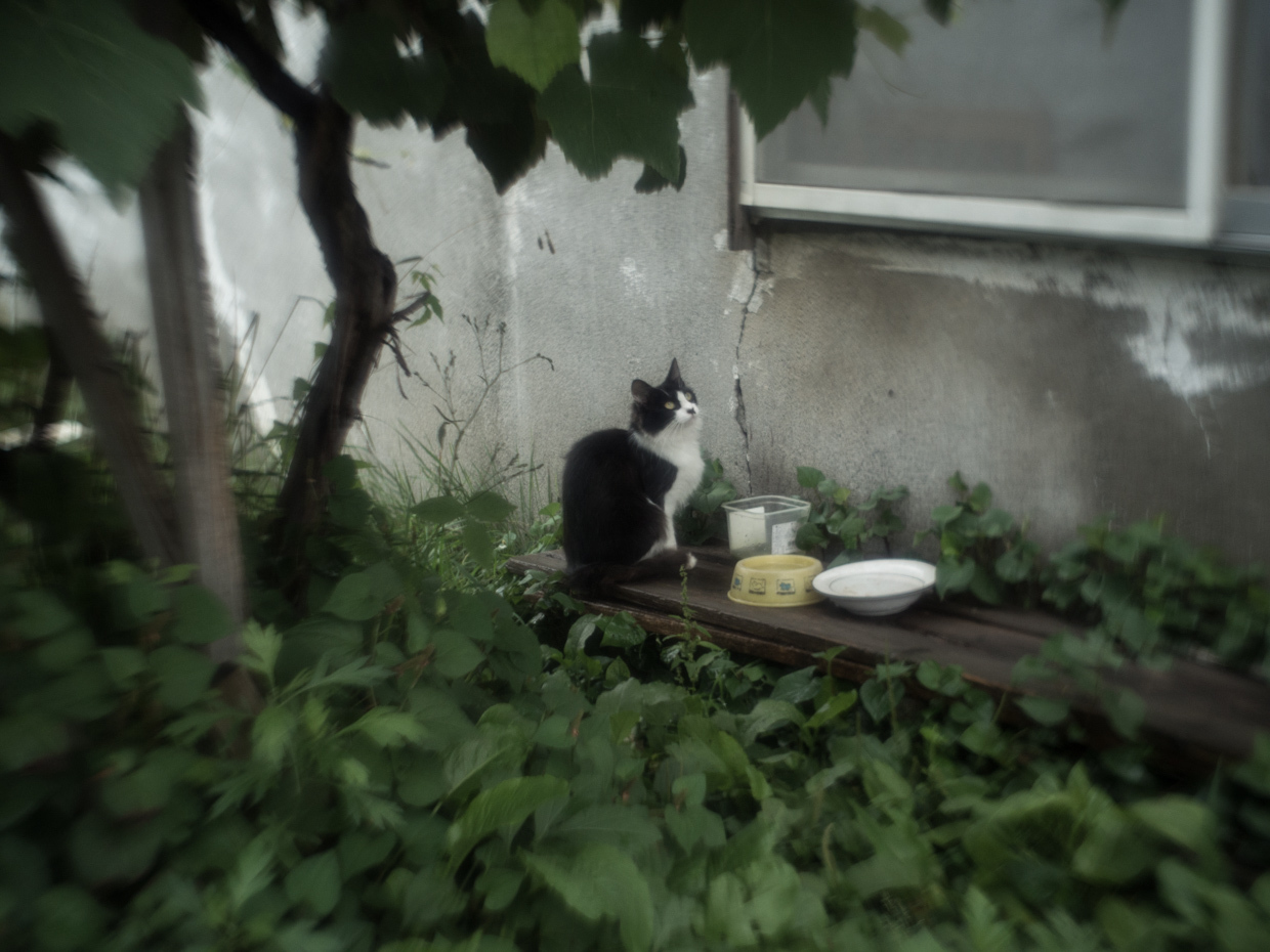 ウエットなZ -3-（終）