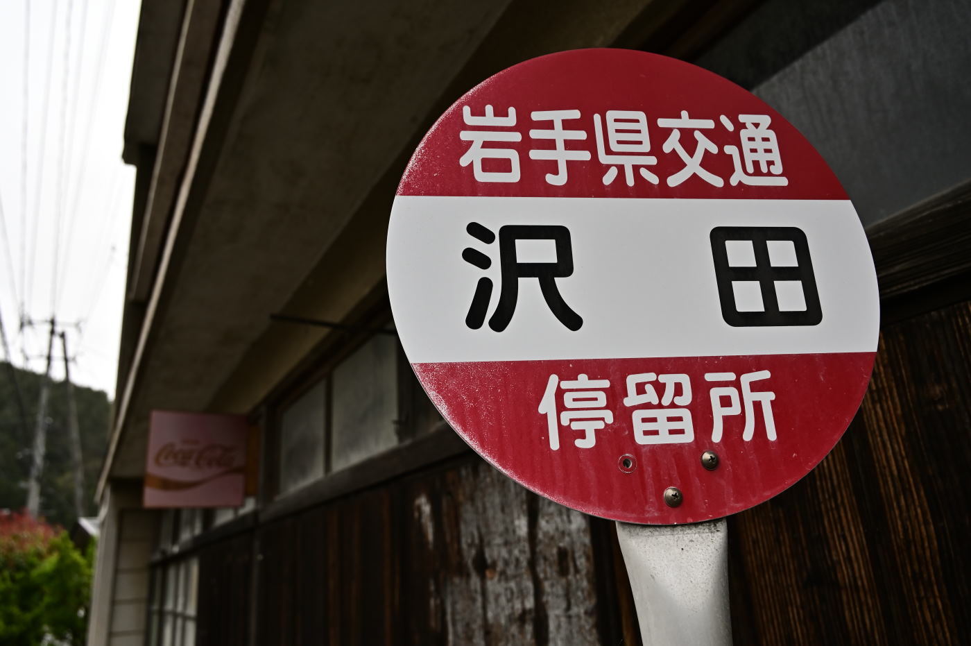 目にとまればそれでいいのだ